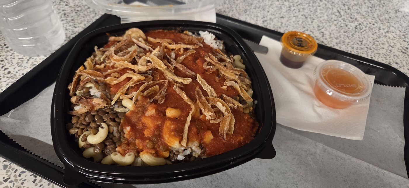 Koshary bowl with tomato sauce and crispy onions